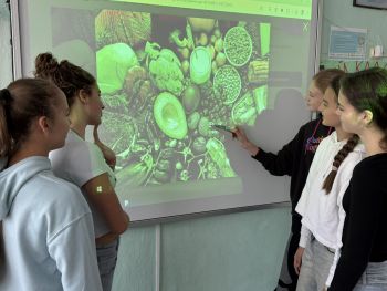 0 02 05 4f3b4135ceadf310a06066f6dc409b101067308cd4e3ac93aca041f373154d3c c4e1a570eaa9f9e